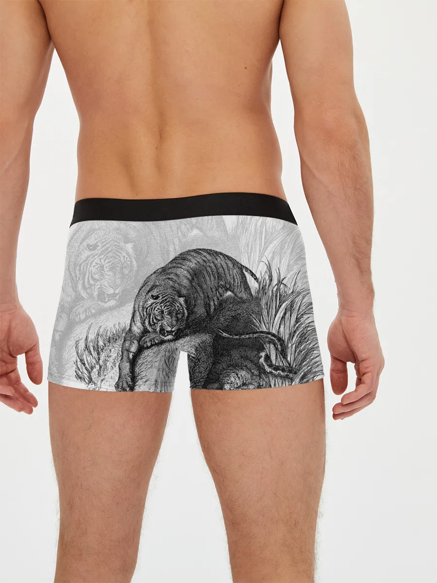 Мужские трусы боксеры / Тигр и змея