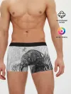 Мужские трусы боксеры / Тигр и змея