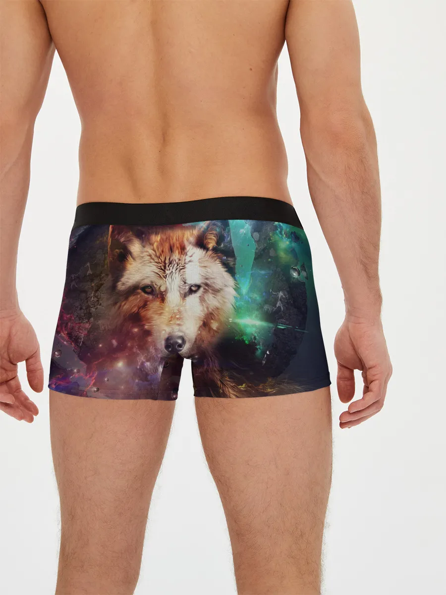 Мужские трусы боксеры / Красивый волк