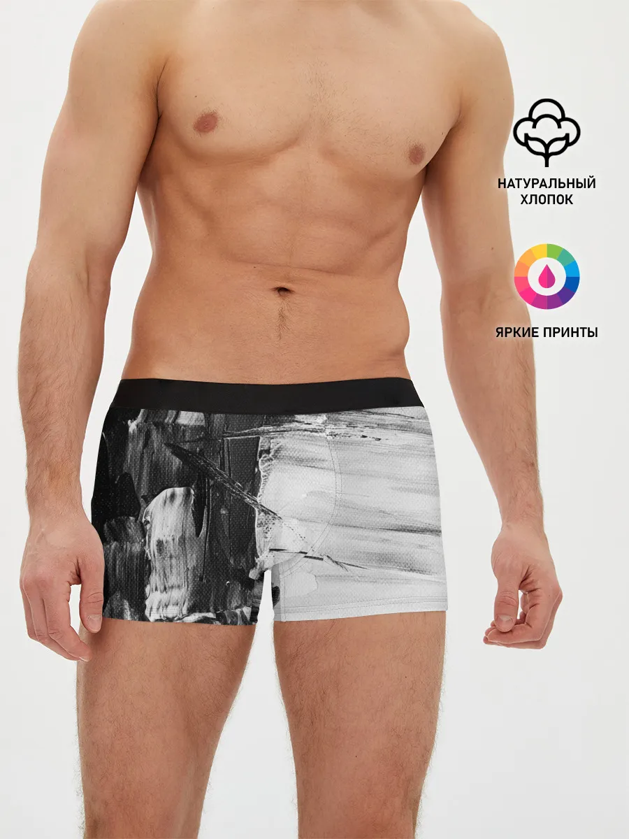 Мужские трусы боксеры / Черно-Белый Арт