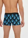 Мужские трусы боксеры / Чешуя ледяного дракона