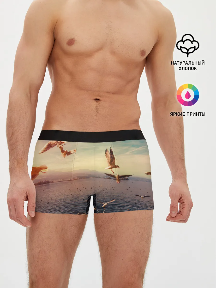 Мужские трусы боксеры / Чайки на воде