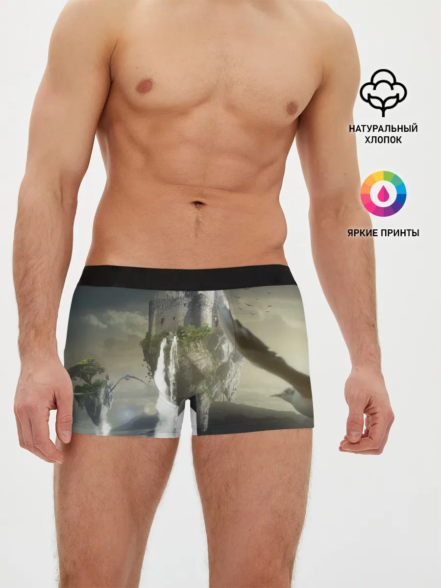 Мужские трусы боксеры / Парящий замак