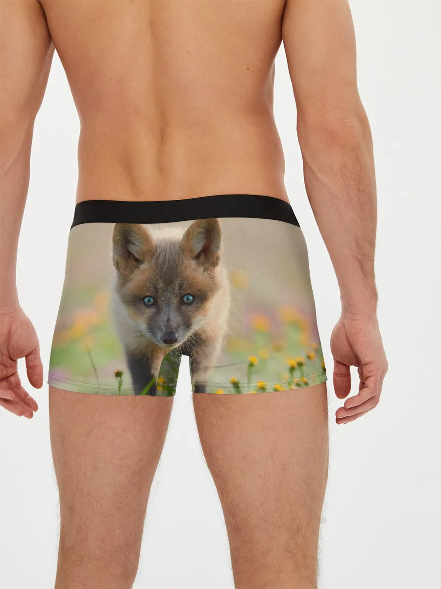 Мужские трусы боксеры / Лисичка