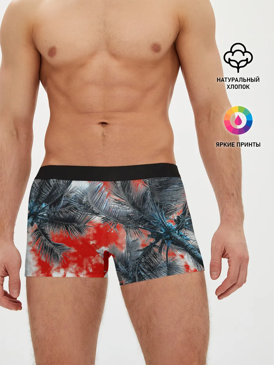 Мужские трусы боксеры / Tropics Inverted