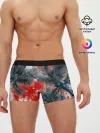 Мужские трусы боксеры / Tropics Inverted