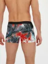 Мужские трусы боксеры / Tropics Inverted