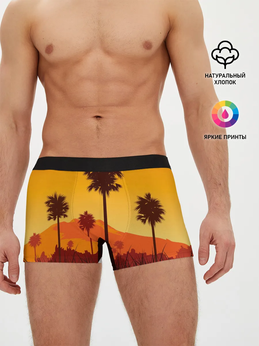 Мужские трусы боксеры / Лето, Пальмы, вечер