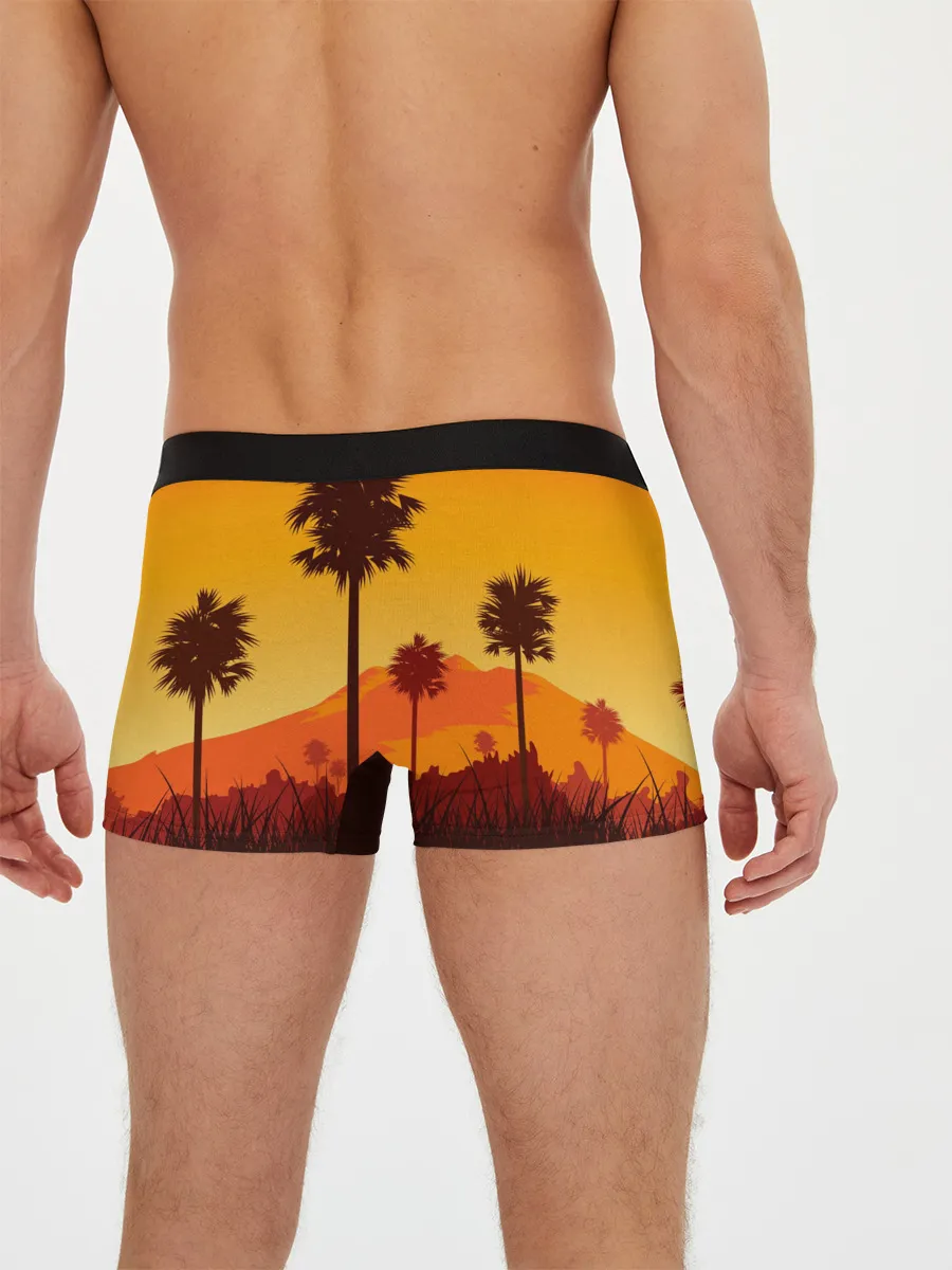 Мужские трусы боксеры / Лето, Пальмы, вечер
