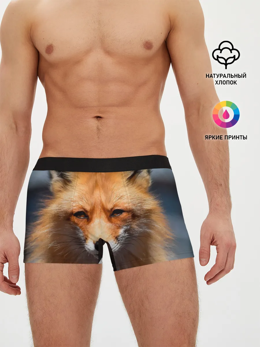 Мужские трусы боксеры / Хитрая лисица