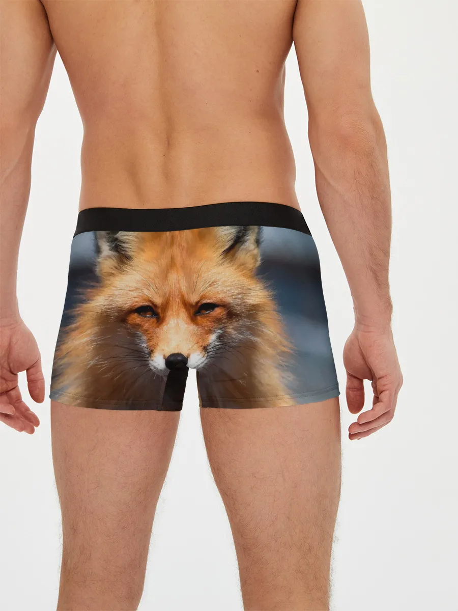 Мужские трусы боксеры / Хитрая лисица