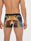 Мужские трусы боксеры / Хитрая лисица