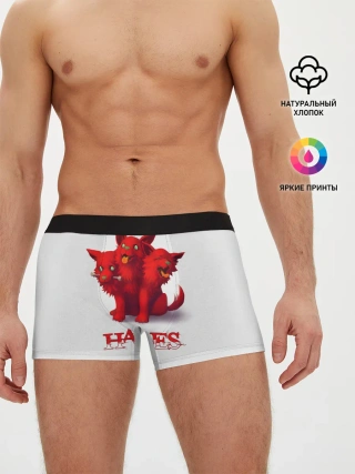 Мужские трусы боксеры / Hades wolf