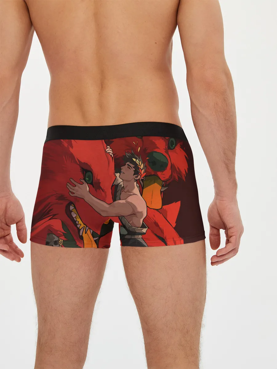 Мужские трусы боксеры / Hades Zagreus