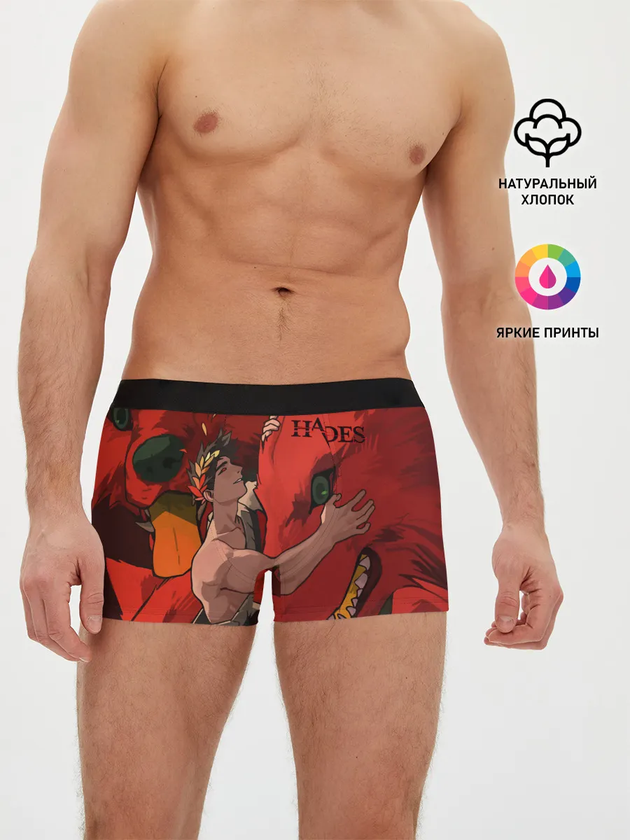 Мужские трусы боксеры / Hades Zagreus