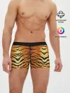 Мужские трусы боксеры / Шкура Тигра