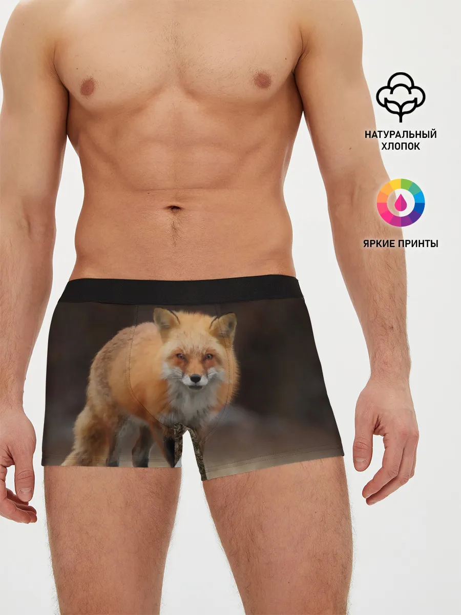 Мужские трусы боксеры / Хитрая лисица