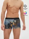 Мужские трусы боксеры / Battletech warrior