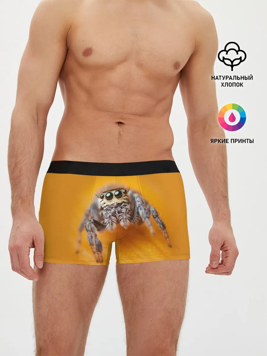 Мужские трусы боксеры / ПАУК / SPIDER