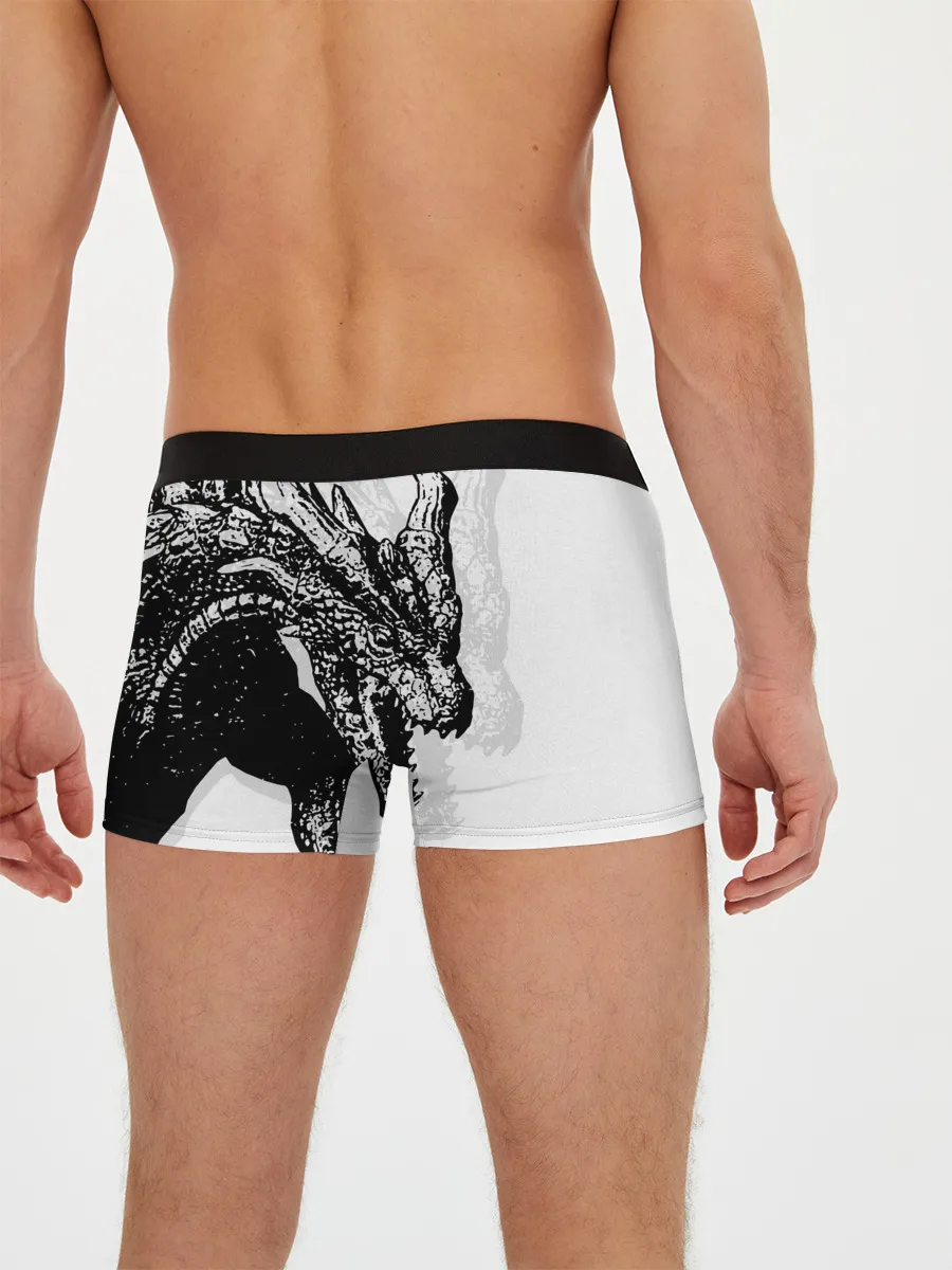 Мужские трусы боксеры / Dragon