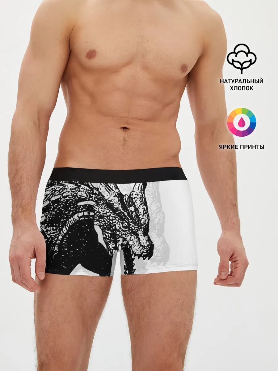 Мужские трусы боксеры / Dragon