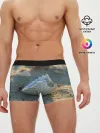 Мужские трусы боксеры / Морская ракушка