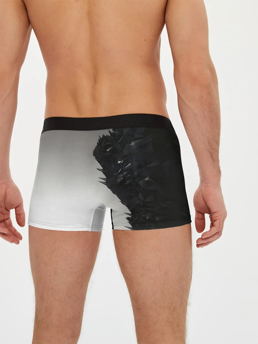 Мужские трусы боксеры / Jensen Revolution