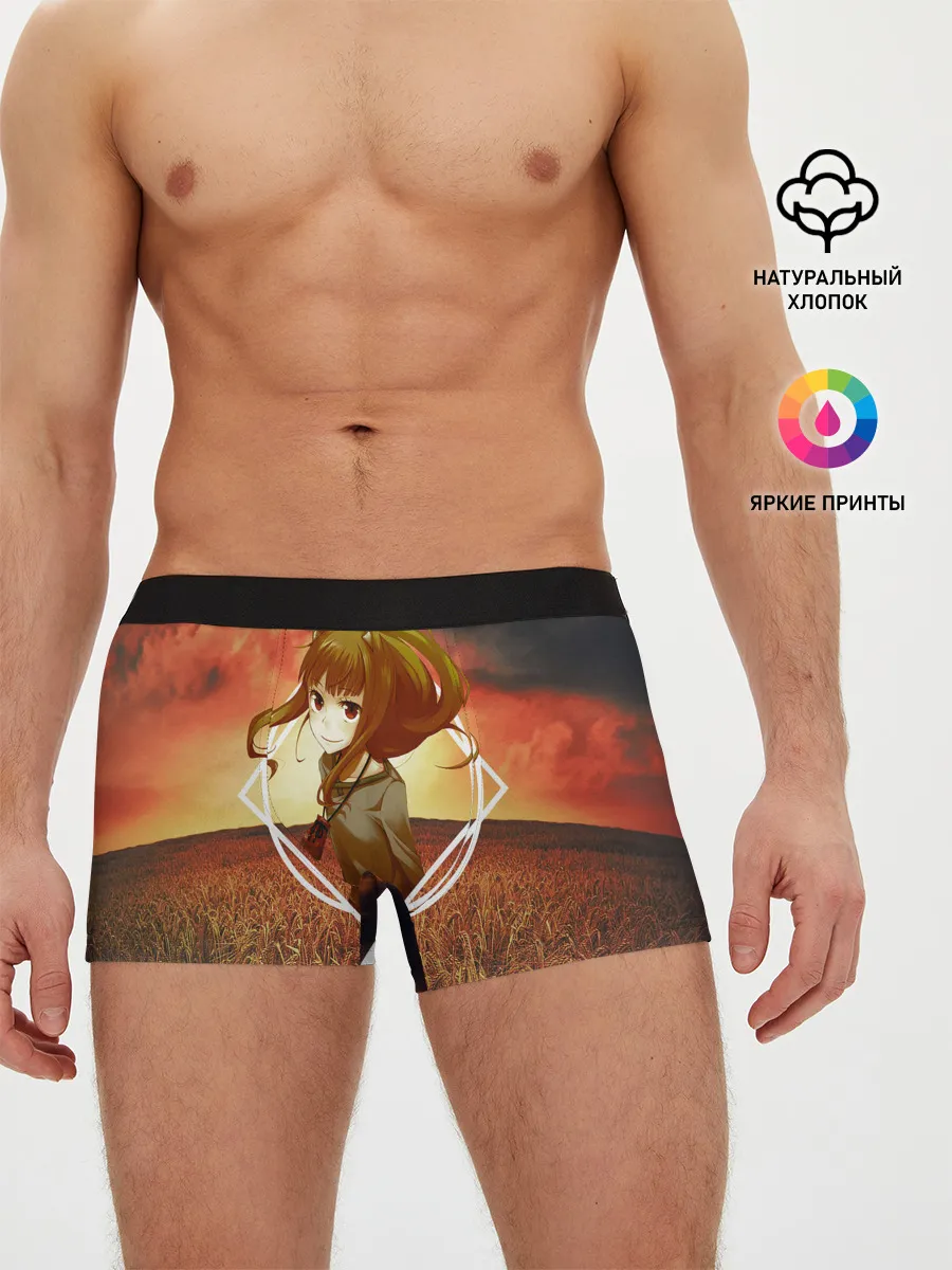 Мужские трусы боксеры / Волчица Хоро