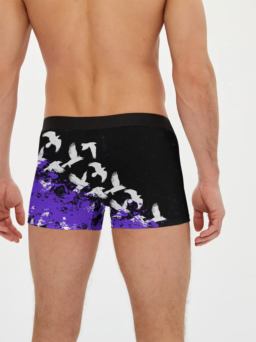 Мужские трусы боксеры / MISFITS [6]