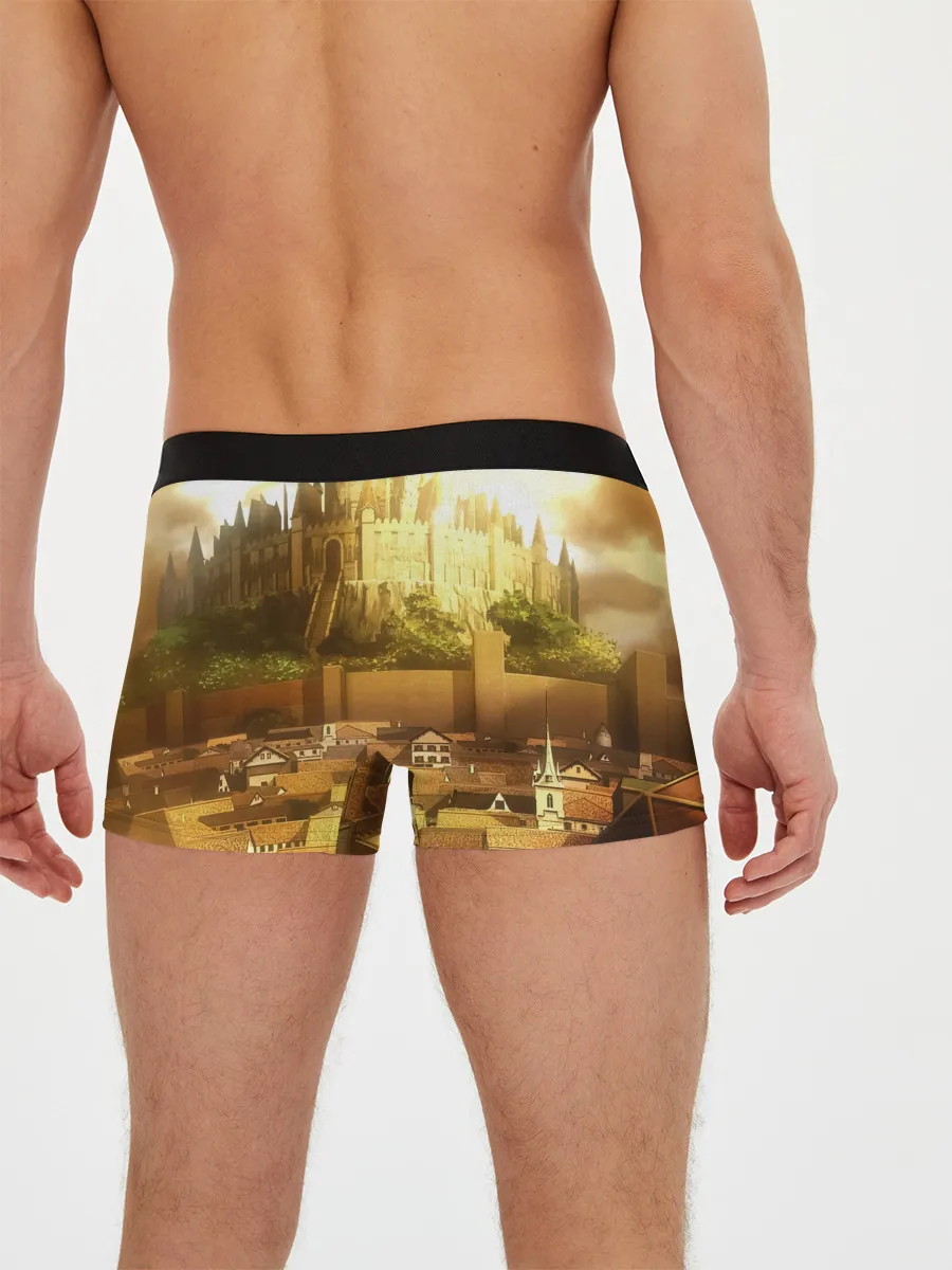 Мужские трусы боксеры / Чёрный клевер город