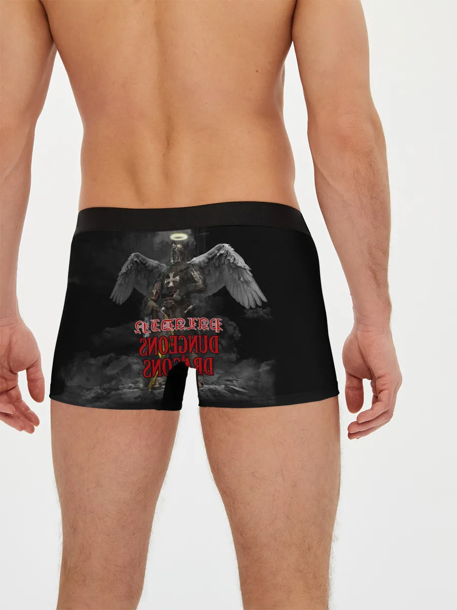 Мужские трусы боксеры / Dungeons & Dragons | Паладин