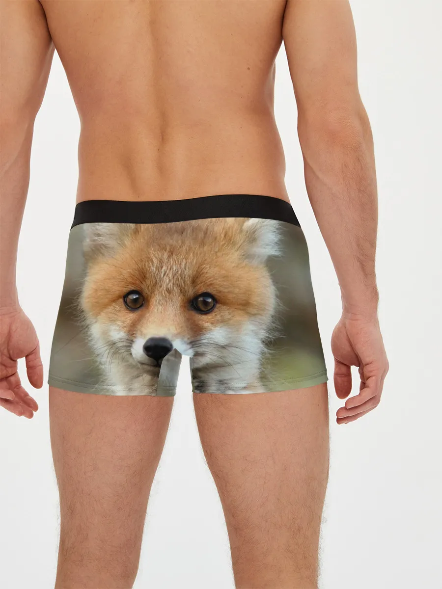 Мужские трусы боксеры / Миленький лисенок