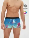 Мужские трусы боксеры / NMS: Начало