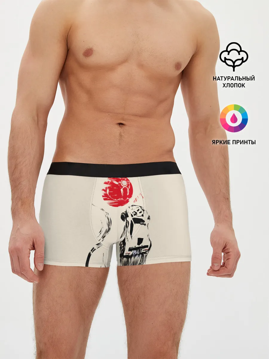 Мужские трусы боксеры / Flying car