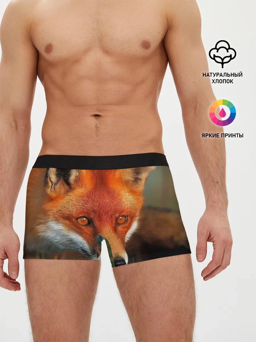Мужские трусы боксеры / Лисица охотница