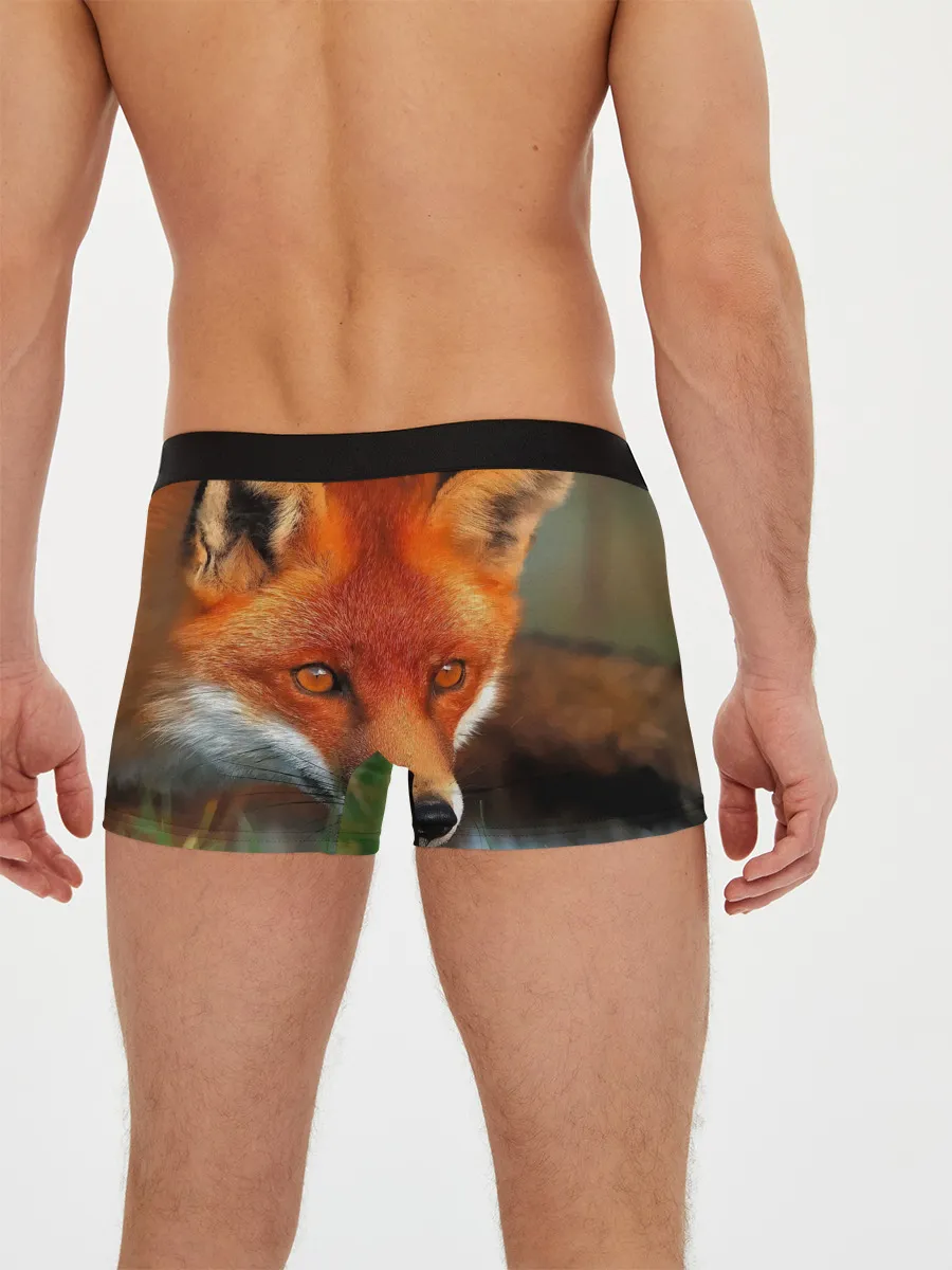 Мужские трусы боксеры / Лисица охотница
