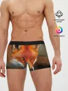 Мужские трусы боксеры / Лисица охотница