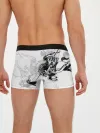 Мужские трусы боксеры / Всадник и чёрт