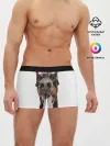 Мужские трусы боксеры / Доберман / Doberman