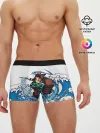 Мужские трусы боксеры / ТАНДЖИРО