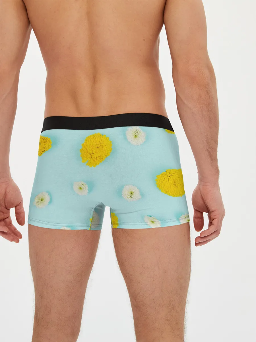 Мужские трусы боксеры / Одуванчики / Dandelions