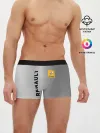 Мужские трусы боксеры / Renault | Сталь