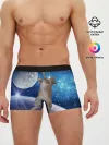 Мужские трусы боксеры / Кисулькин в космосе
