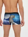 Мужские трусы боксеры / Кисулькин в космосе