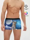 Мужские трусы боксеры / Кисулькин в космосе