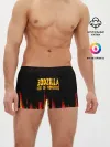 Мужские трусы боксеры / годзилла