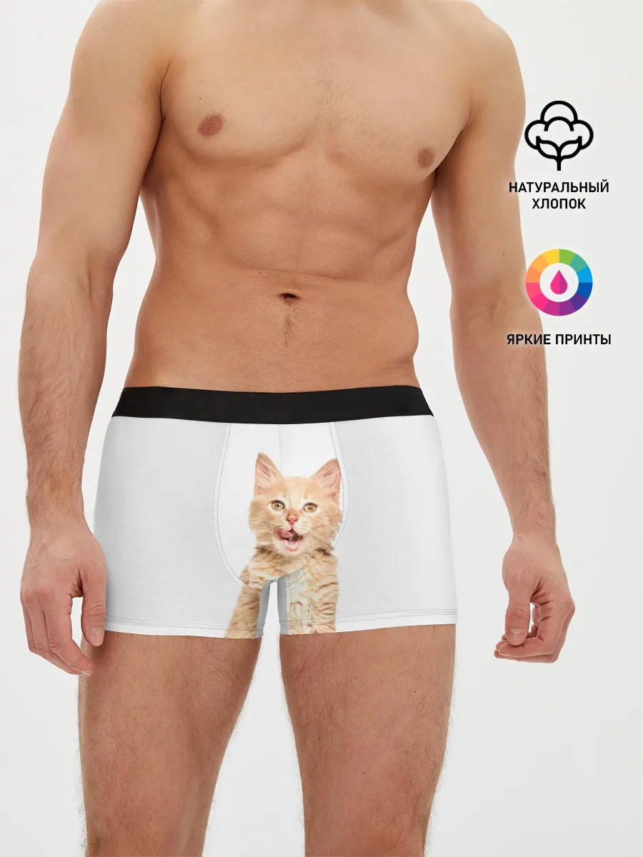 Мужские трусы боксеры / Кошечка