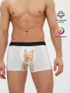 Мужские трусы боксеры / Кошечка