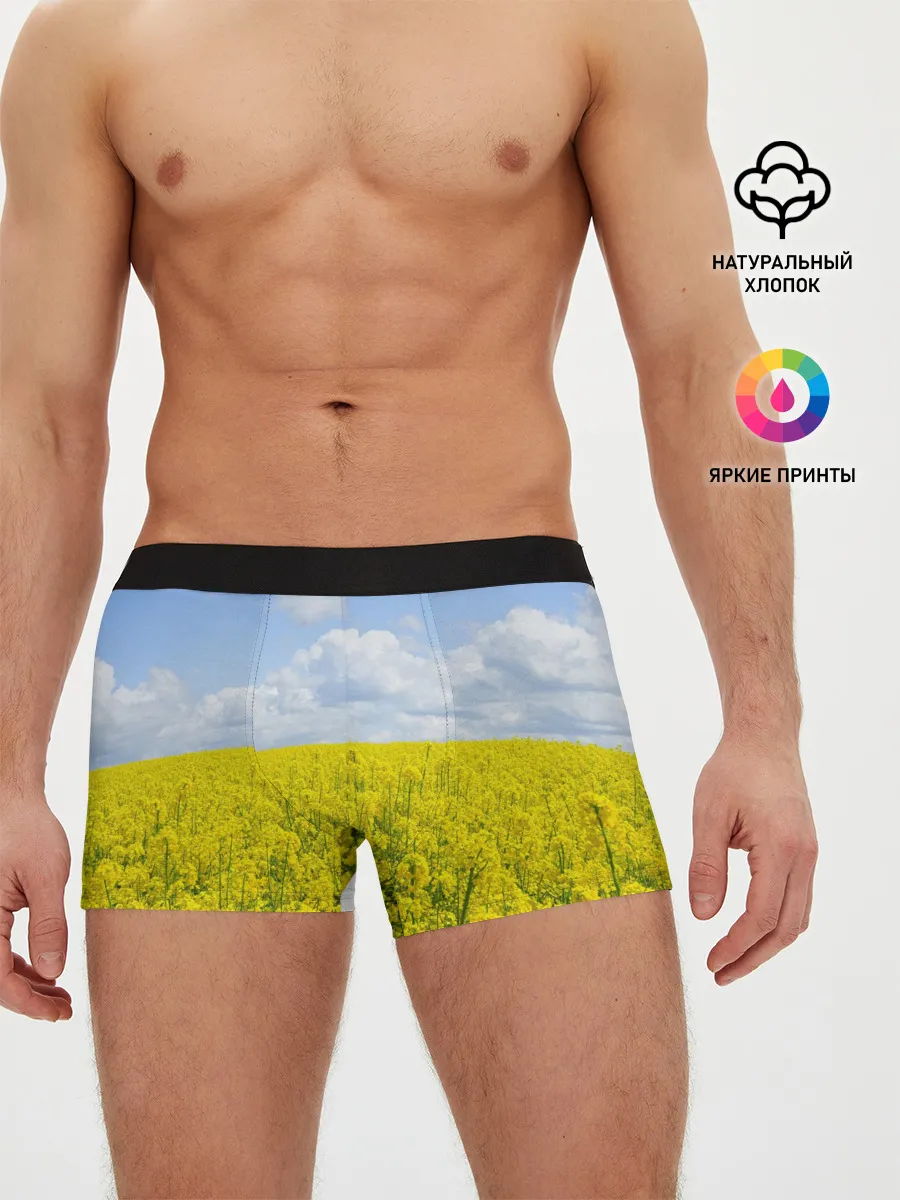Мужские трусы боксеры / Рапсовое поле