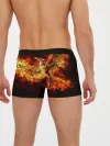 Мужские трусы боксеры / Феникс в огне
